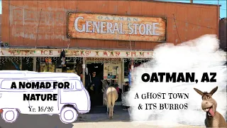 A Ghost Town Filled With Donkeys & Burros,  The Fun Tourist Town of Oatman ~ AZ