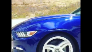 2015 Mustang GT 5.0 vs BMW M6