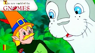 The New World of the Gnomes - 19 - Mediterranean Odyssey | Full episode |