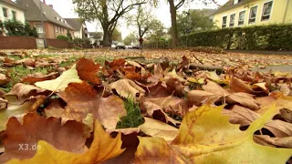 Realer Irrsinn: Straßenreinigung in Hameln | extra 3 | NDR