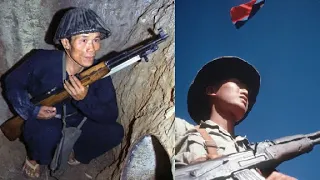 Vietcong: qual é o segredo de sua eficiência militar ?