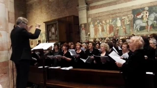 Agnus Dei: autore Zardini, dalla Messa "De Angelis II" (CORALI RIUNITE PER SAN ZENO)