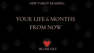 🌟Your Life 6 Months from Now - Online Tarot Pick a Card Reading 🌟 Timeless