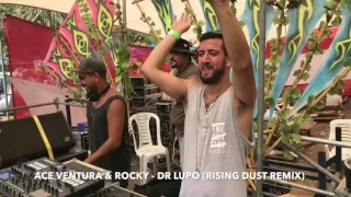 RISING DUST LIVE @ UNITY WATER GATE FESTIVAL 2017