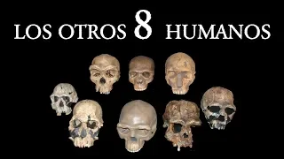 ¿Cuántas Especies de Humanos Existieron?