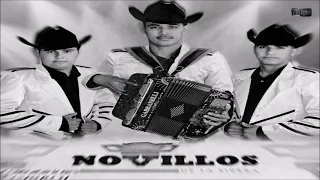 Novillos De La Sierra .- Talento En Guasave //En Vivo// 2021