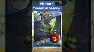 My first Champion Dragon