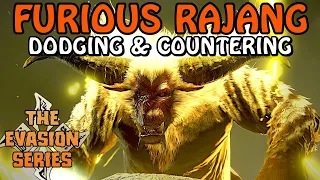 Furious Rajang Breakdown Guide | Evasion Series Monster Hunter Rise