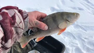 Зимняя рыбалка на реке Иркут на Окуня и Щуку