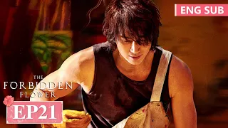 ENG SUB《夏花 The Forbidden Flower》EP21——言承旭，徐若晗 | 腾讯视频-青春剧场