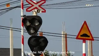 RAILROAD CROSSING | ĐOÀN TÀU DU LỊCH TRỞ VỀ TỪ PHAN THIẾT QUA CHẮN TỰ ĐỘNG PHÚ SƠN (18/08/2019)