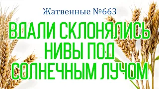 Вдали склонялись нивы под солнечным лучом