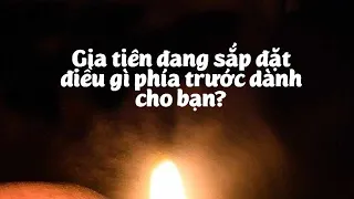 GIA TIÊN ĐANG SẮP ĐẶT ĐIỀU GÌ PHÍA TRƯỚC DÀNH CHO BẠN? (Không chọn tụ & Timeless)