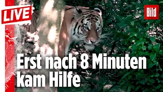 🔴 Killer-Tiger tötete Pflegerin vor den Augen der Zoo-Besucher | Zürich | BILD LIVE