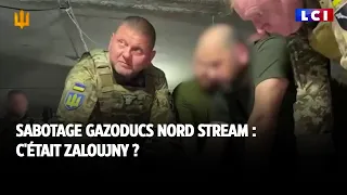Sabotage gazoducs Nord Stream : c'était Zaloujny ?