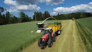 GPS Sklizeň Žita - GPS Harvest 2024 Claas Jaguar 940 Farma Brocná s.r.o.