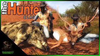 The First Axis Deer Hunt Featuring A Piebald Feral Hog & 2 Big Axis Deer! Thehunter Classic