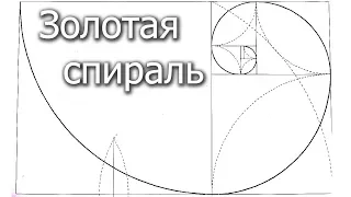 Как начертить золотую спираль