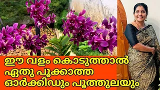 How to grow Orchids ||  2 Fertilizer to get more blooms in dendrobium Orchids || salu koshy/