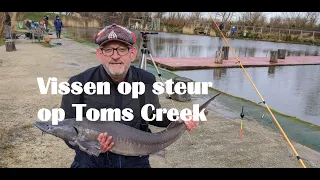 Dagje steuren op Toms Creek in Lelystad met Gijs Nederlof