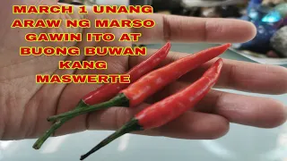 MARCH 1 UNANG ARAW NG MARSO GAWIN ITO AT BUONG BUWAN KANG MASWERTE - APPLE PAGUIO7