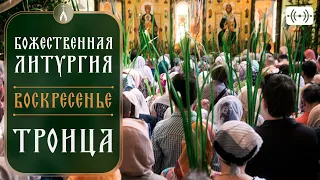 БОЖЕСТВЕННАЯ ЛИТУРГИЯ. Трансляция 4 июня (воскресенье) в 9:00