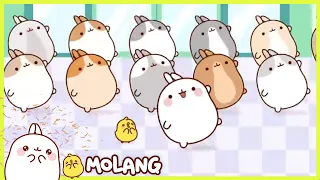 Molang - Flash Mob | Comedy Cartoon | More ⬇️ ⬇️ ⬇️