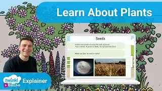 Teaching About Plants to KS1 Children