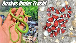 Searching Abandoned Garbage Sites for RARE Colorful SNAKES!