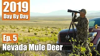 We Glassed 27 Bucks | 2019 Nevada Mule Deer (Ep. 5)