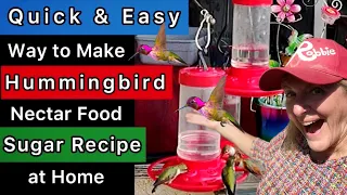How to Make Hummingbird Food Nectar EASY Recipe Attracts TONS of Hummingbirds to Your Bird Feeder