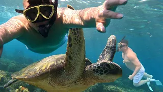 갈수록 요금이 늘어나는 바가지 투어!!여행전 필수 시청!! 필리핀 🇵🇭 보홀 여행 4부!! philippines bohol balicasac turtle 🐢 tour !!