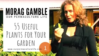 55 Useful Plants For Your Garden  - https://ourpermaculturelife.com