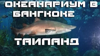 Акулы| Океанариум в Бангкоке