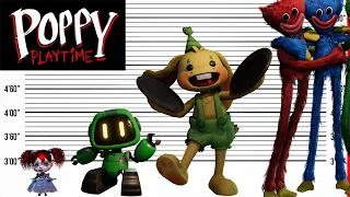 Poppy Playtime Height Size Comparison | Biggest Characters