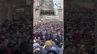 Акция протеста в Санкт-Петербурге  - 31.01.2021