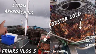 Pots of Lobster GOLD, night before the storm - friars fishing vlog 5 afternoon.