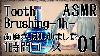 【ASMR】歯磨き、はじめました-1時間コース-01 / Tooth Brushing -1h- #01【No Talking】