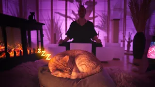 Fireplace Sound Bath Music for Cats | Animal Anxiety & Sleep Music | Singing Bowl Meditation Music