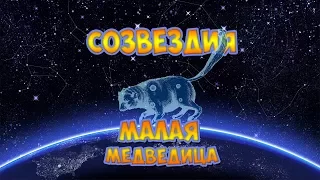 Малая Медведица. Познавательное видео для детей