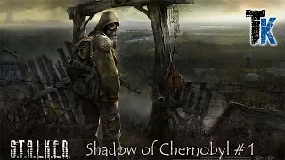S.T.A.L.K.E.R. Shadow of Chernobyl #1