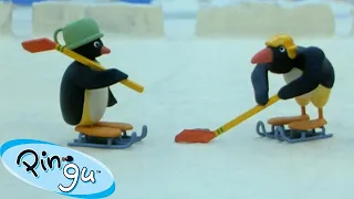 Pingu's Favorite Sports 🐧 | Pingu - Official Channel | Cartoons For Kids
