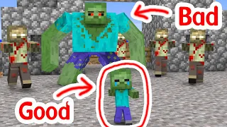 Monster School : Baby Zombie Is Lost - Minecraft Animation