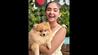 😘🥀Anushka Sen🌹song superstar 💞new love story WhatsApp status 😍 #shorts