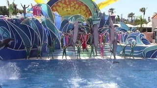 Special Last Day Blue Horizons at SeaWorld San Diego 8-12-15