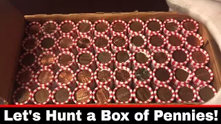 Coin Roll Hunting A Box of Pennies