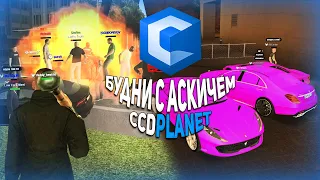 СМЕШНЫЕ МОМЕНТЫ НА МТА ССДПЛАНЕТ! БУДНИ С АСКИЧЕМ #1 MTA CCDPLANET