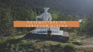 КАК ДОЕХАТЬ ДО ЦЕЙСКОГО УЩЕЛЬЯ | ВСТРЕТИЛ МЕДВЕДЯ В ЛЕСУ | ЛЕДНИК | СЕВЕРНАЯ ОСЕТИЯ