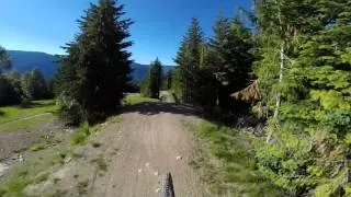 Whistler Crabapple Hits Massive Crash