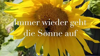 Udo Jürgens - Immer wieder geht die Sonne auf - Cover Bernadette Philipp